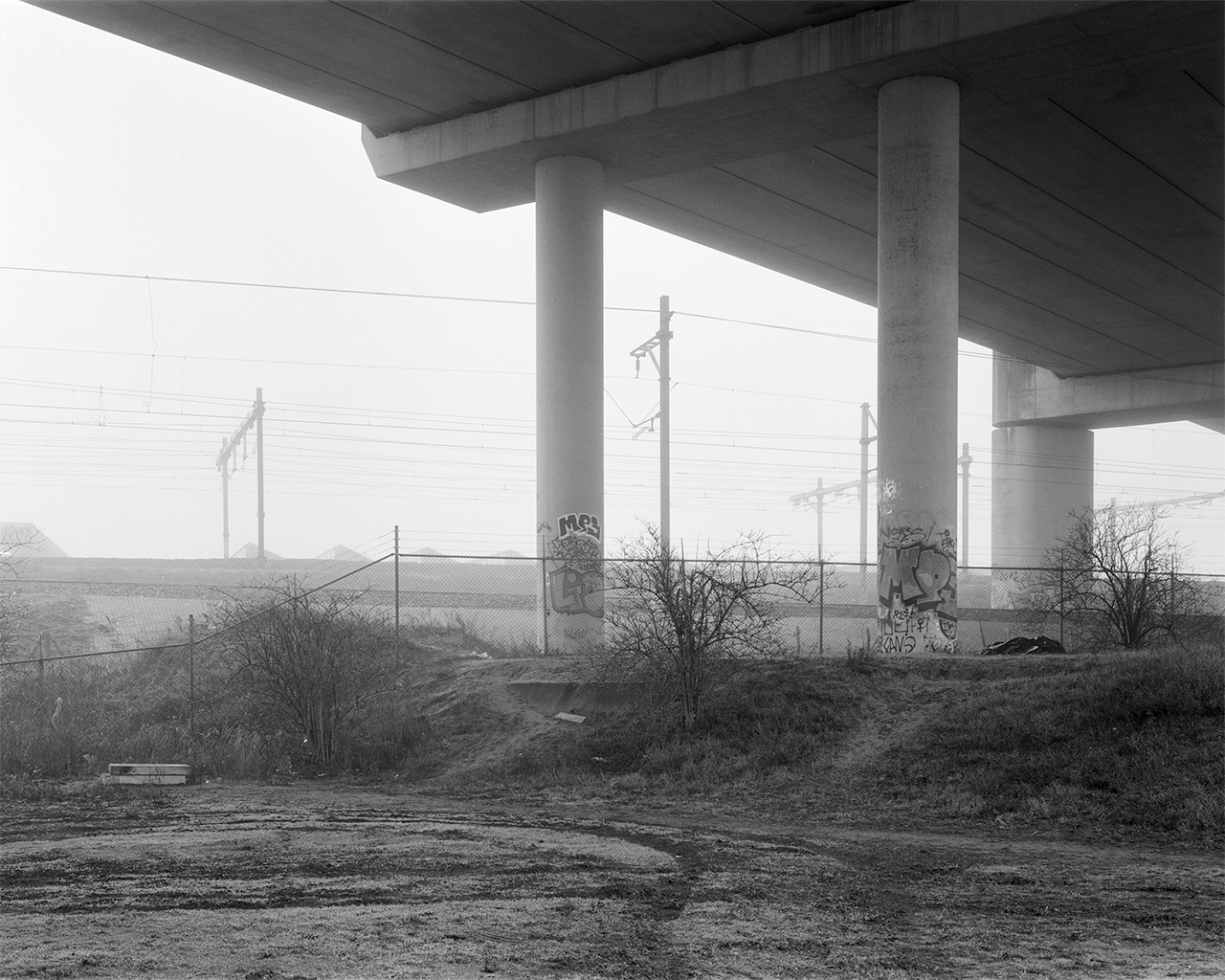 Order/Disorder - 19