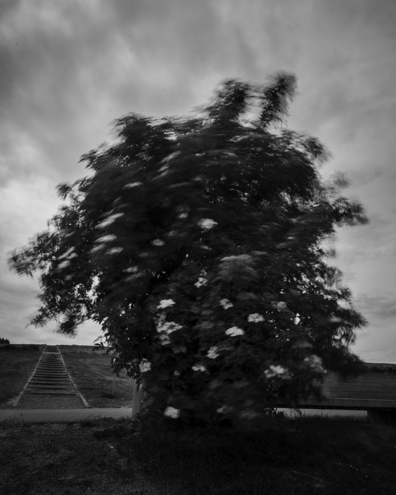 Untitled - 01