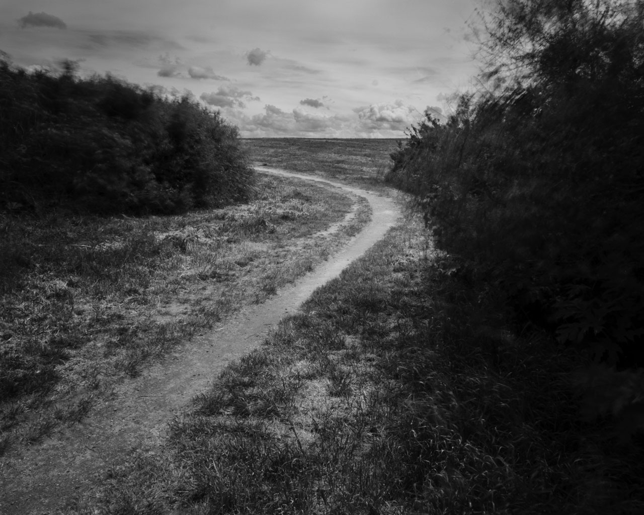 Untitled - 03