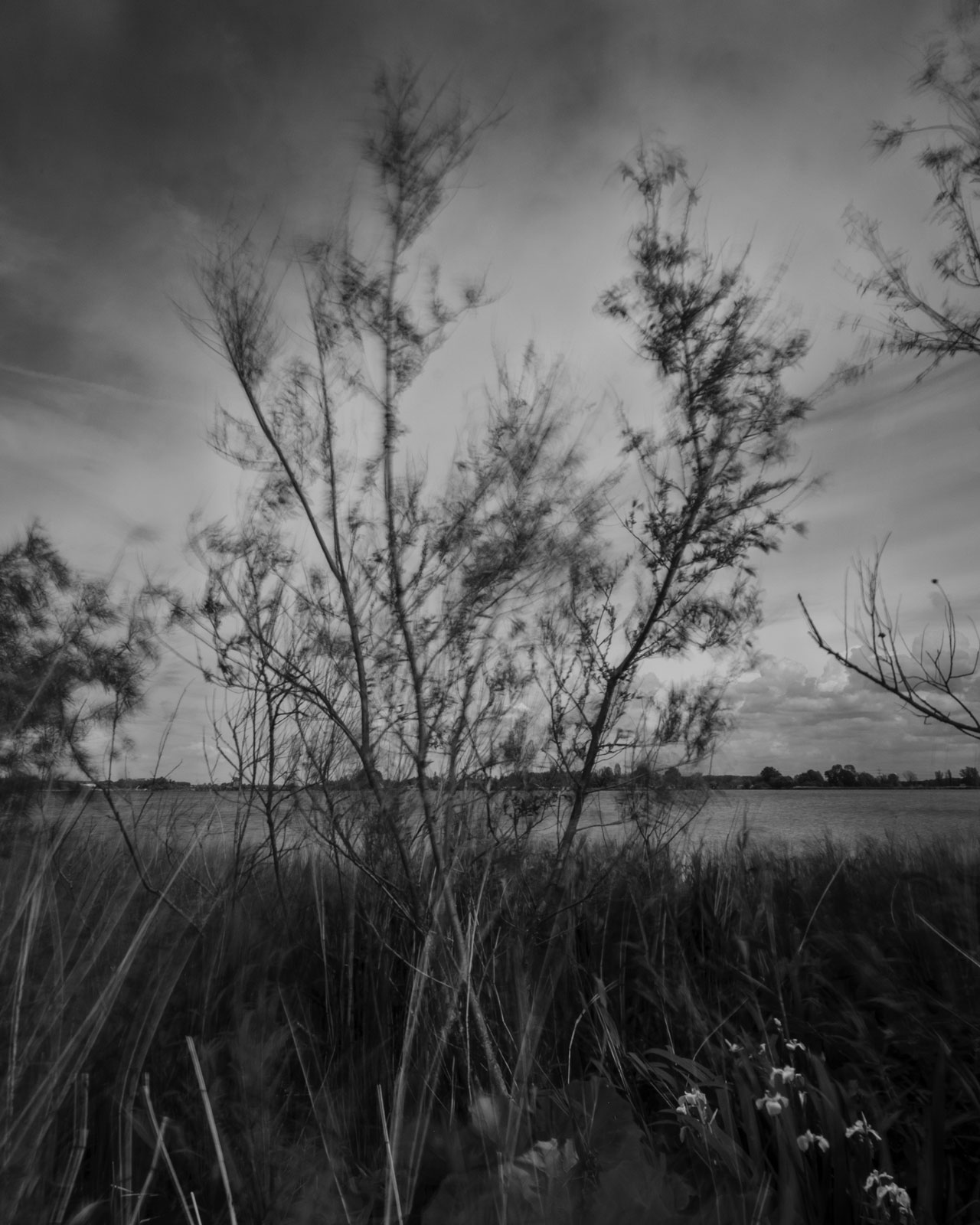 Untitled - 04