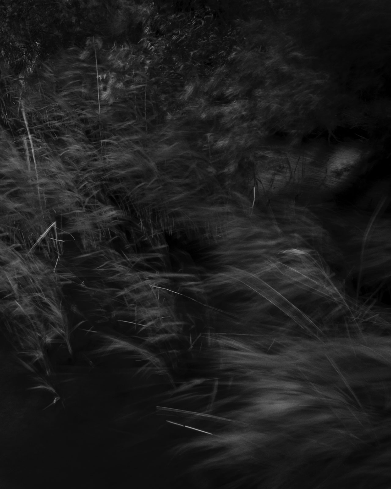 Untitled - 06