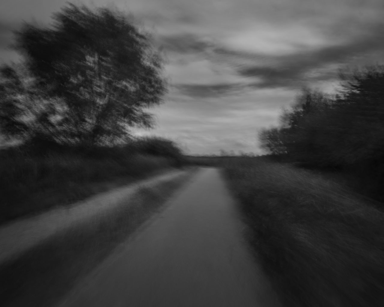 Untitled - 07