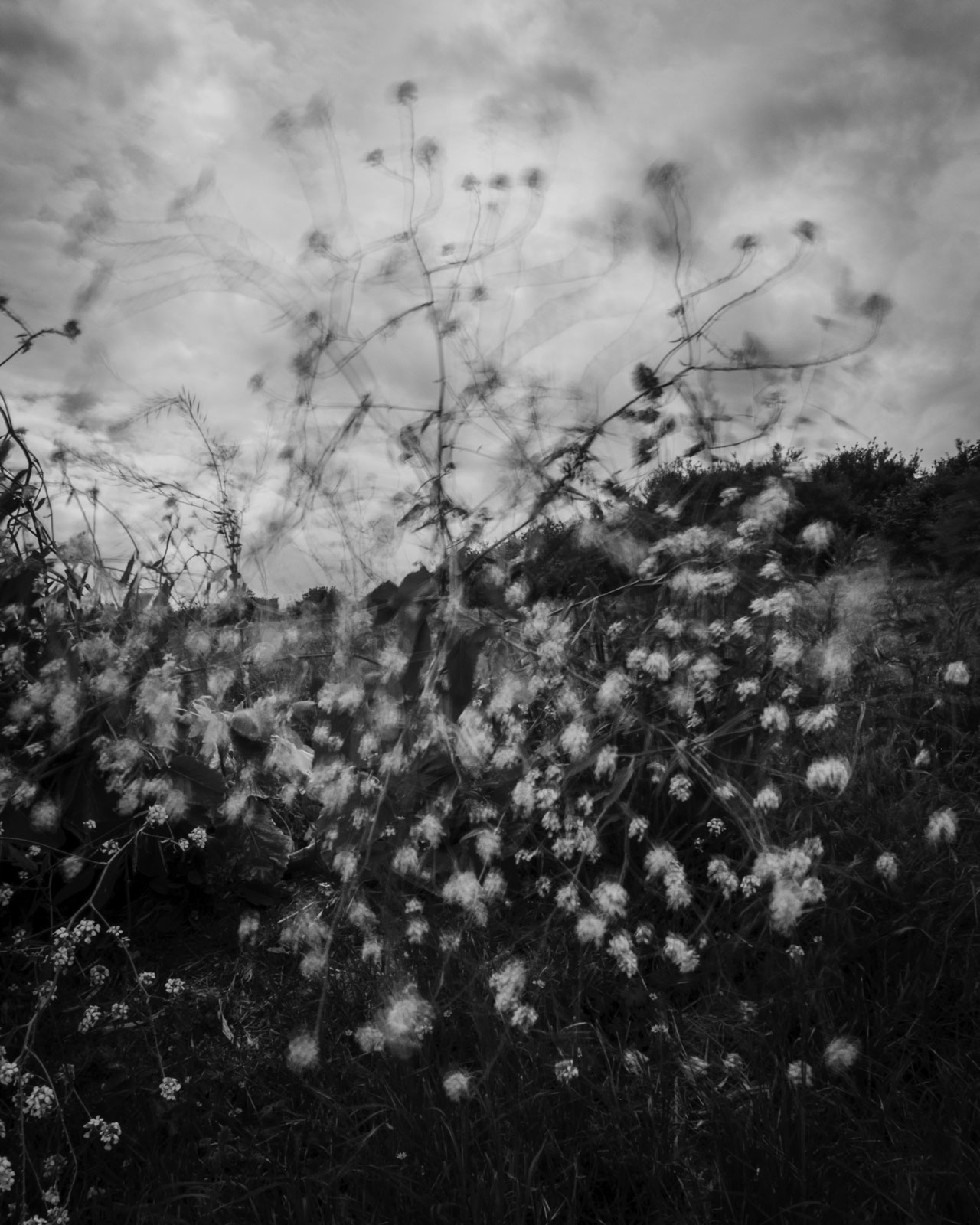 Untitled - 08
